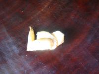 养生食谱大放送