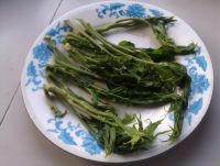 养生食谱大放送