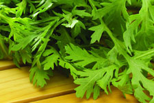 <a href=/shicai/shucai/QinCai/index.html target=_blank><u>芹菜</u></a>叶的做法