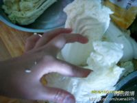 养生食谱大放送