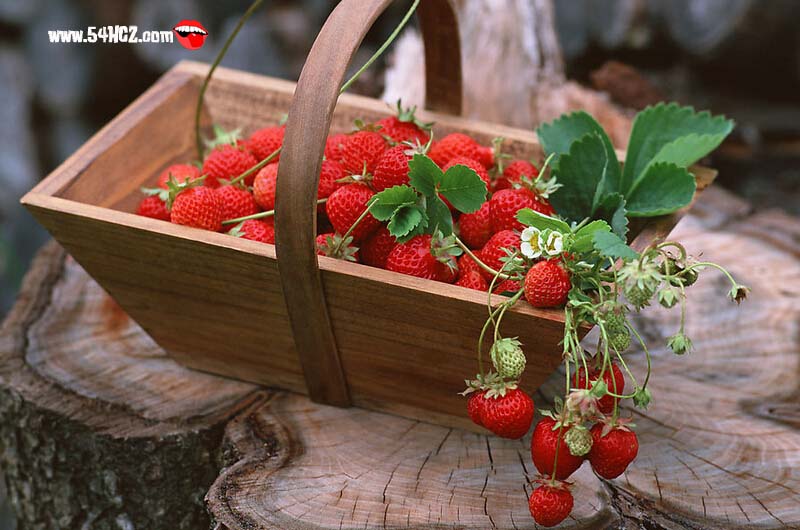 <a href=/shicai/guopin/CaoMei/index.html target=_blank><u>草莓</u></a>怎么洗1