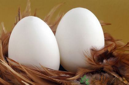 胆结石能吃<a href=/shicai/rouqin/JiDan/index.html target=_blank><u>鸡蛋</u></a>吗