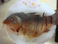 养生食谱大放送