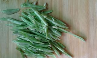 <a href=/shicai/shucai/SiJiDou/index.html target=_blank><u>四季豆</u></a>炒肉