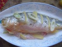 养生食谱大放送