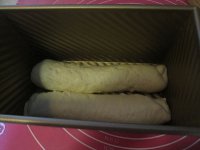 养生食谱大放送