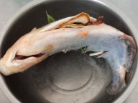 养生食谱大放送