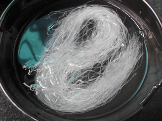 <a href=/shicai/mimian/FenSi/index.html target=_blank><u>粉丝</u></a>虾米<a href=/shicai/shucai/QinCai/index.html target=_blank><u>芹菜</u></a>汤