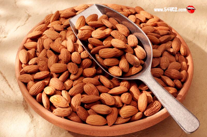 巴旦木和行人的区别3