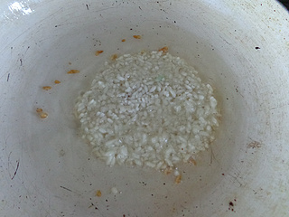 <a href=/shicai/mimian/NuoMi/index.html target=_blank><u>糯米</u></a>锅巴