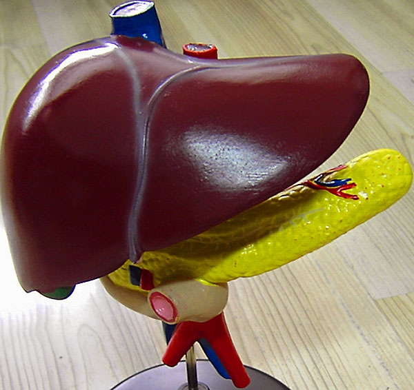 吃什么保护小心肝儿?保护心脏的食物