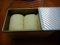 养生食谱大放送