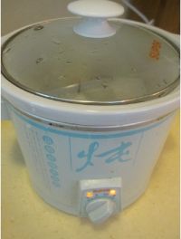 养生食谱大放送