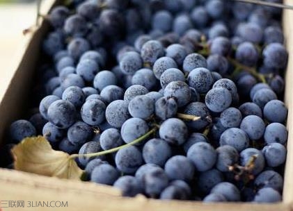 <a href=/shicai/guopin/HeiJiaLun/index.html target=_blank><u>黑加仑</u></a>的营养价值