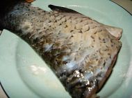 养生食谱大放送