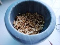 养生食谱大放送