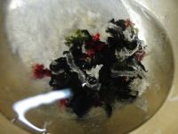 养生食谱大放送