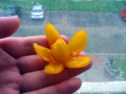 养生食谱大放送