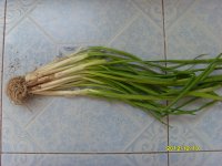 养生食谱大放送