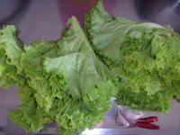 养生食谱大放送