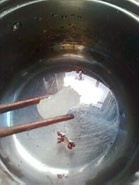 养生食谱大放送