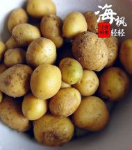 养生食谱大放送