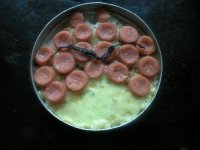 养生食谱大放送