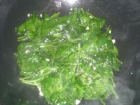 养生食谱大放送