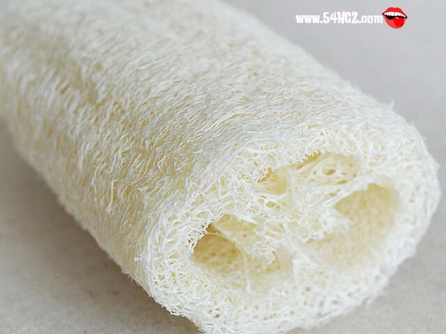 <a href=/shicai/shucai/SiGua/index.html target=_blank><u>丝瓜</u></a>络的功效与作用2