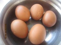 养生食谱大放送