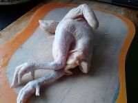 养生食谱大放送