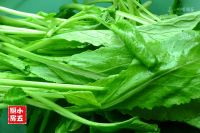 养生食谱大放送