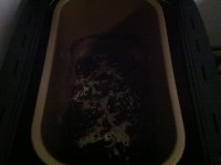 养生食谱大放送