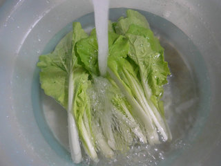 五号菜<a href=/shicai/shucai/CanDou/index.html target=_blank><u>蚕豆</u></a>汤