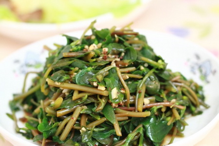 (图)凉拌<a href=/shicai/shucai/MaChiXian/index.html target=_blank><u>马齿苋</u></a>
