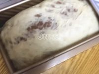 养生食谱大放送