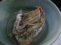 养生食谱大放送