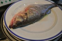 养生食谱大放送