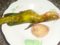 养生食谱大放送