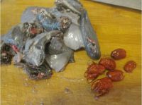 养生食谱大放送