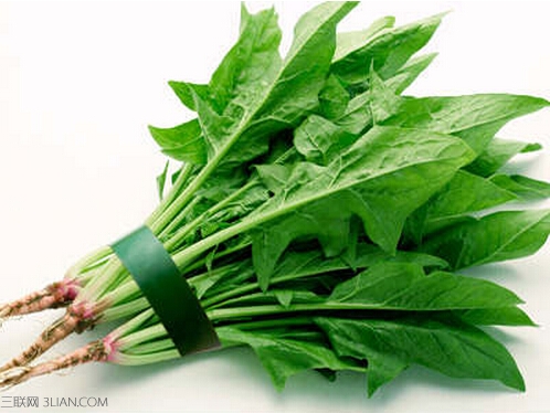 <a href=/shicai/shucai/BoCai/index.html target=_blank><u>菠菜</u></a>的功效与作用