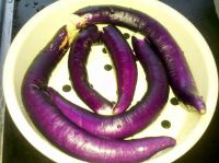 养生食谱大放送