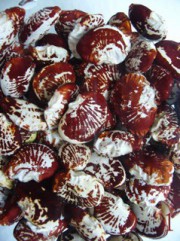 养生食谱大放送