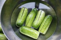 养生食谱大放送