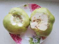 养生食谱大放送