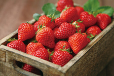 <a href=/shicai/guopin/CaoMei/index.html target=_blank><u>草莓</u></a>果酱的做法,<a href=/shicai/guopin/CaoMei/index.html target=_blank><u>草莓</u></a>果酱做法