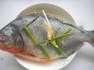 养生食谱大放送