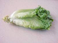 养生食谱大放送