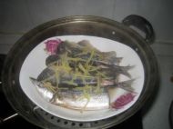 养生食谱大放送