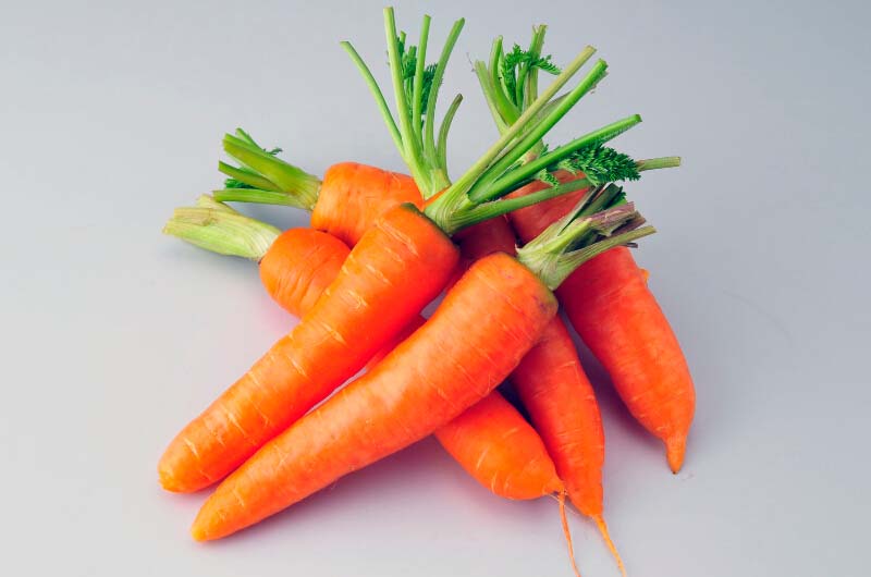 <a href=/shicai/shucai/HuLuoBo/index.html target=_blank><u>胡<a href=/shicai/shucai/LuoBo/index.html target=_blank><u>萝卜</u></a></u></a><a href=/shicai/rouqin/PaiGu/index.html target=_blank><u>排骨</u></a>汤的做法3